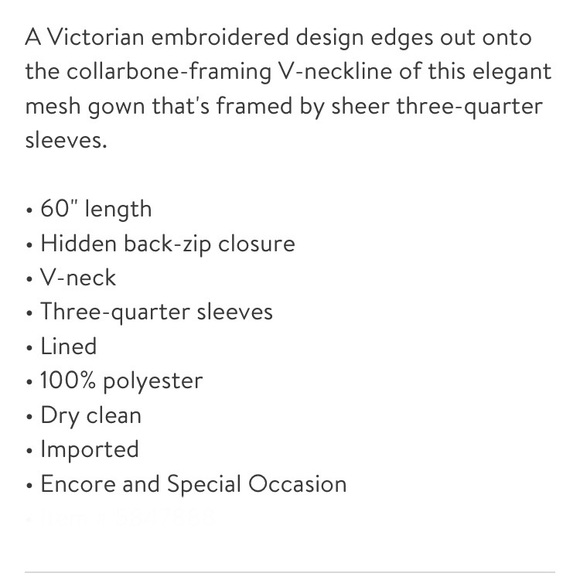 NWT JS Collection Scallop V Neck Embroidered Mesh Gown Size 16W - Picture 8 of 10
